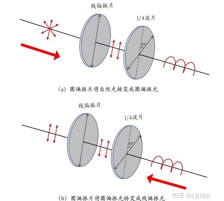 线偏振光和圆偏振光