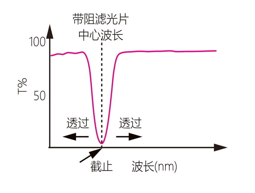 陷波焦点注册光谱图